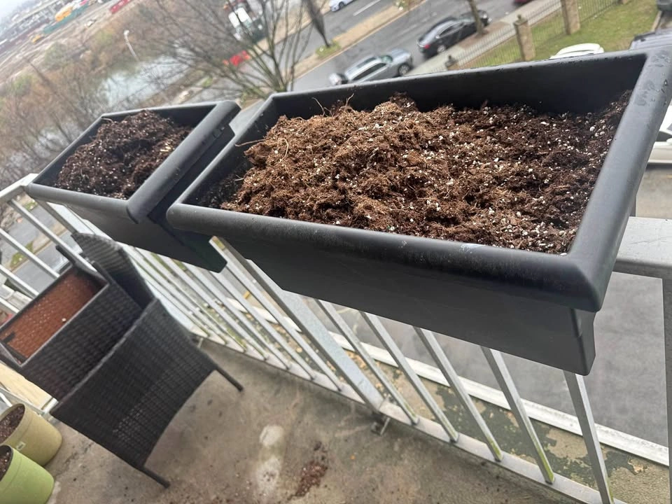PLANTS CONTAINERS
