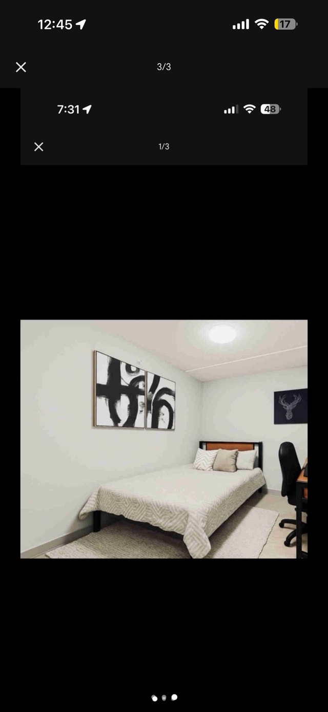 Fully Furnished Private Room. Dog-Friendly. Ideal for Rent