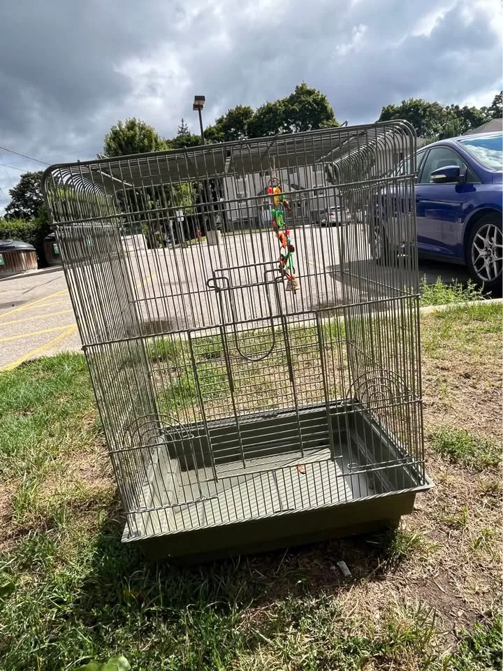 Bird cage image indicator(2)