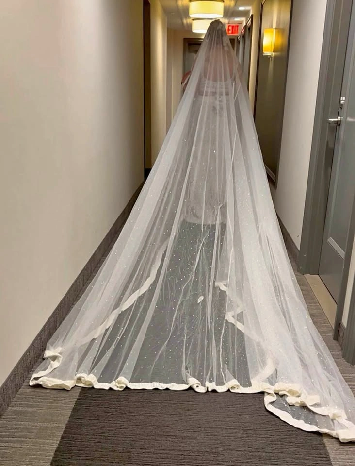 Cathedral Length Sequined Veil - Worn Once