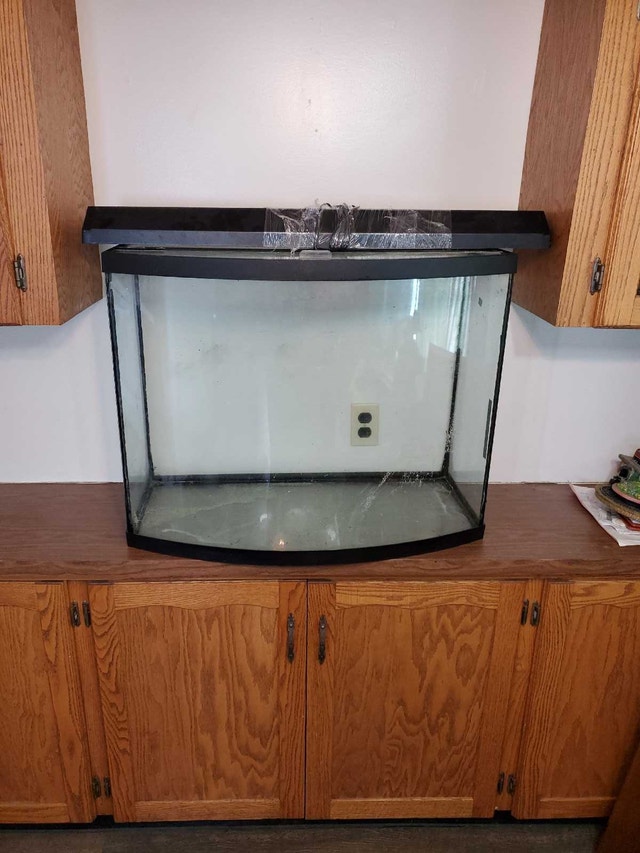 Bowfront Fishtank approx. 40 Gallon