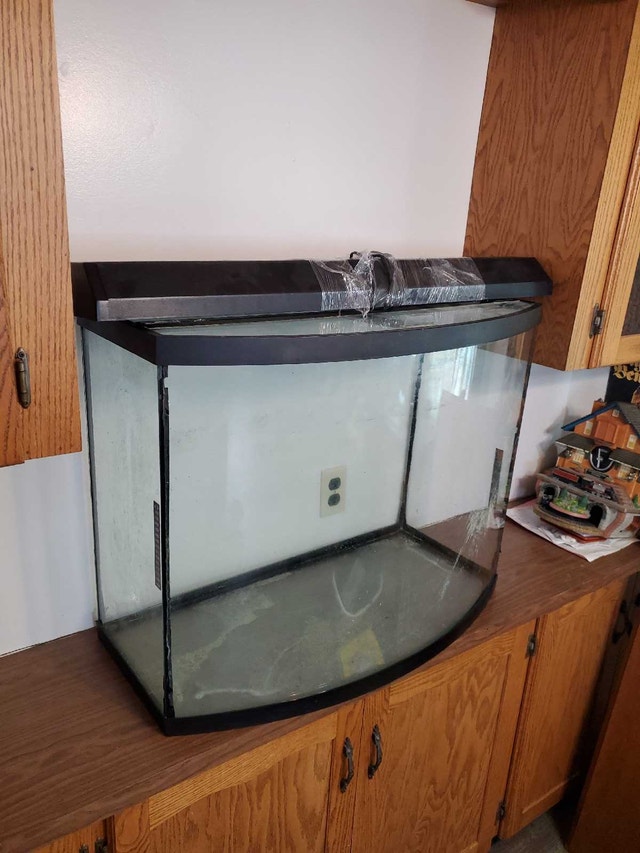 Bowfront Fishtank approx. 40 Gallon - photo 2