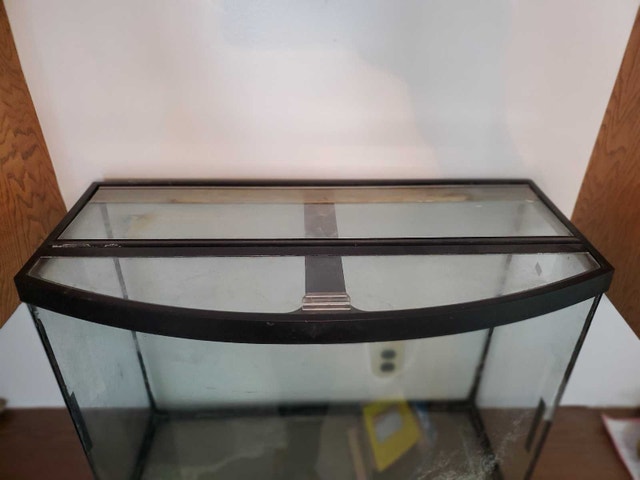 Bowfront Fishtank approx. 40 Gallon - photo 4