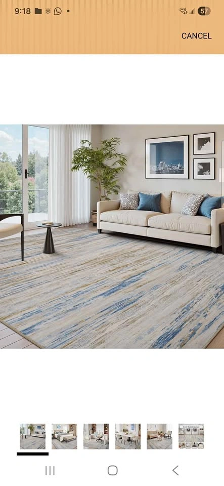 9*6 Living Area Rug New