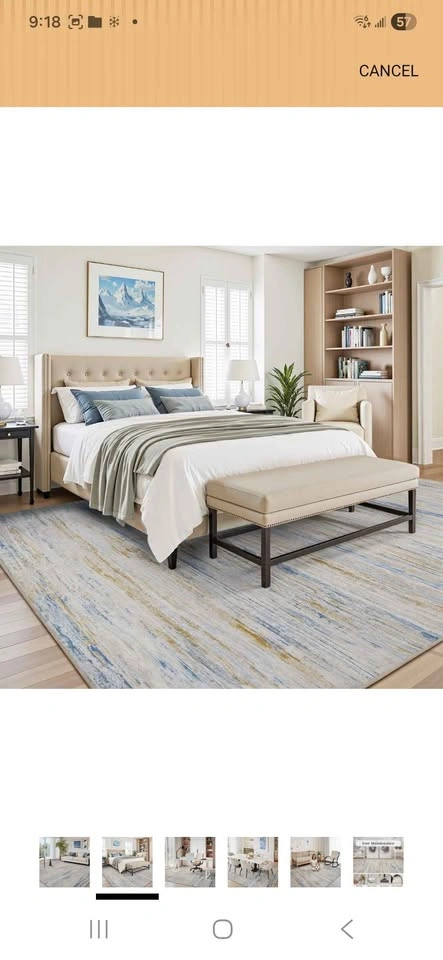 9*6 Living Area Rug New - photo 2