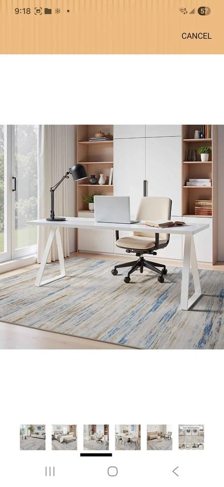 9*6 Living Area Rug New - photo 3