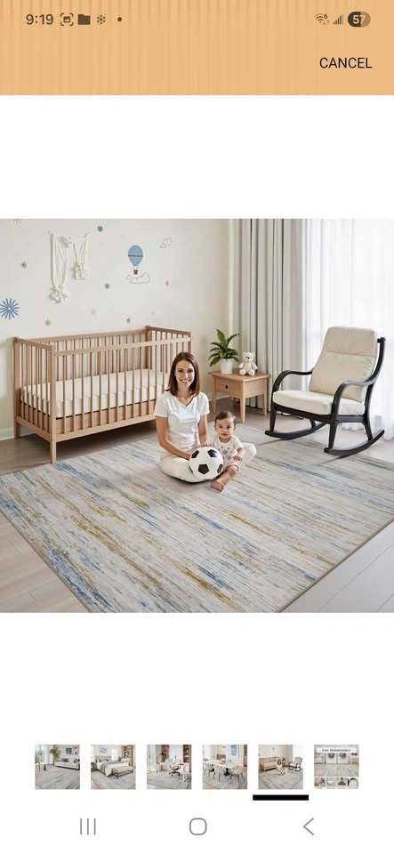 9*6 Living Area Rug New - photo 5