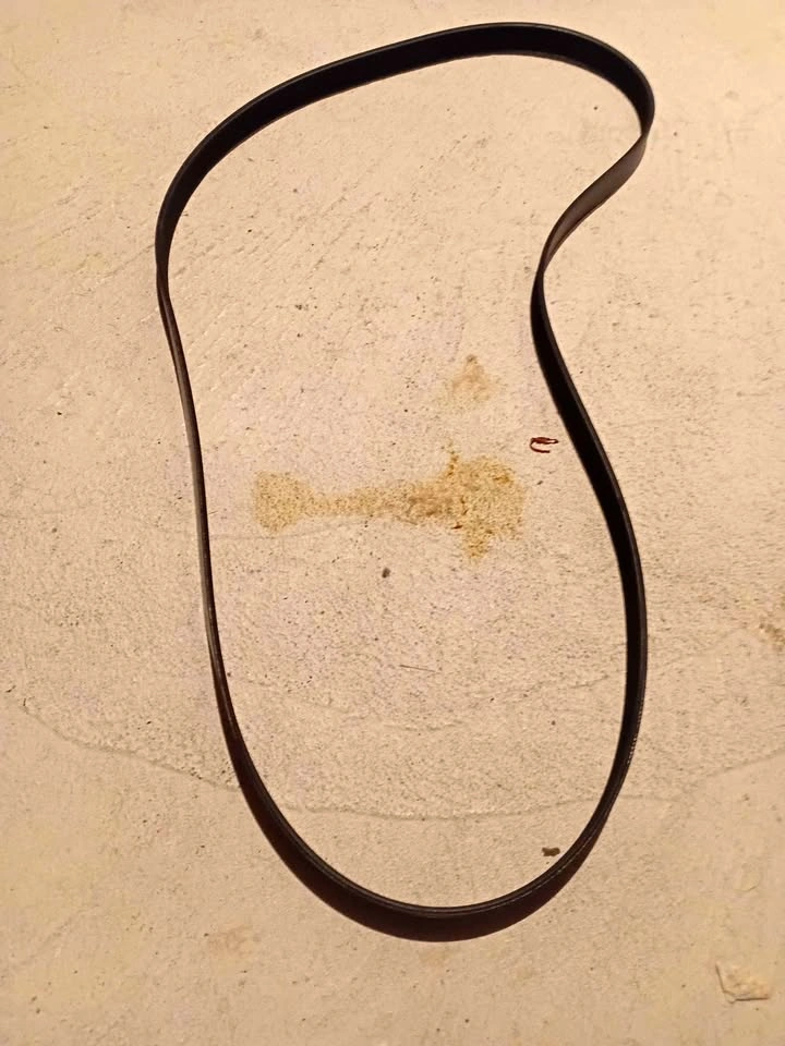 Serpentine Belt - 2007 Honda Accord