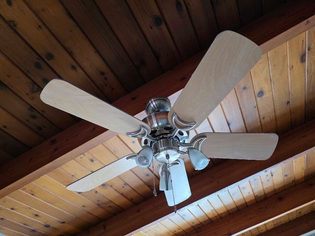 Ceiling Fan with Lights