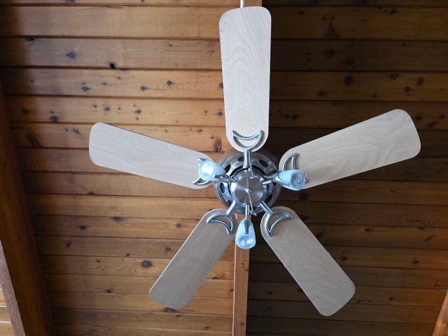 Ceiling Fan with Lights - photo 2