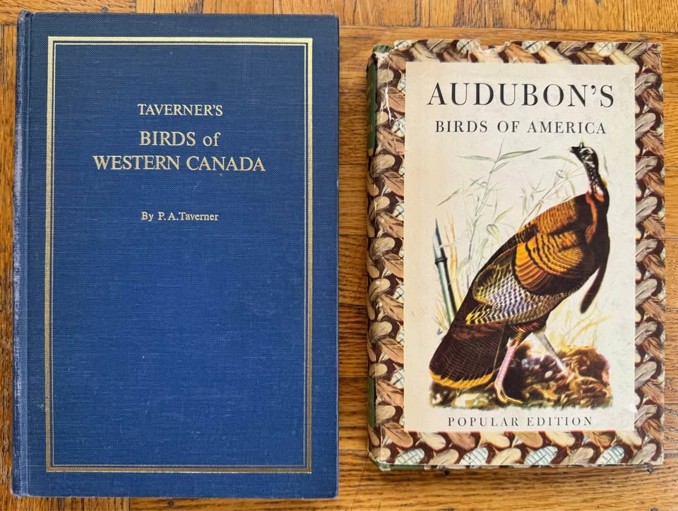 Birding Books! - photo 3