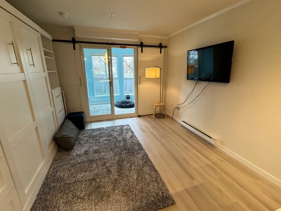 Furnished Studio Apartment in Mount Pleasant - $2200/month - photo 2