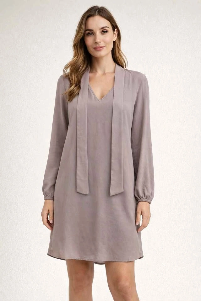 Talula Mauve Long Sleeve V-Neck Shift Dress - Size S
