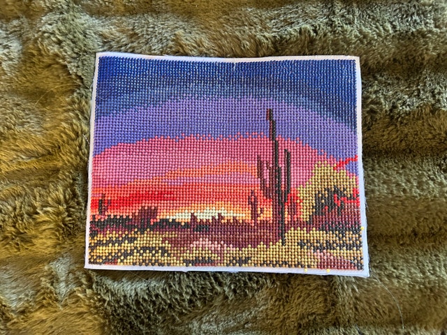 Diamond Art Desert Scene