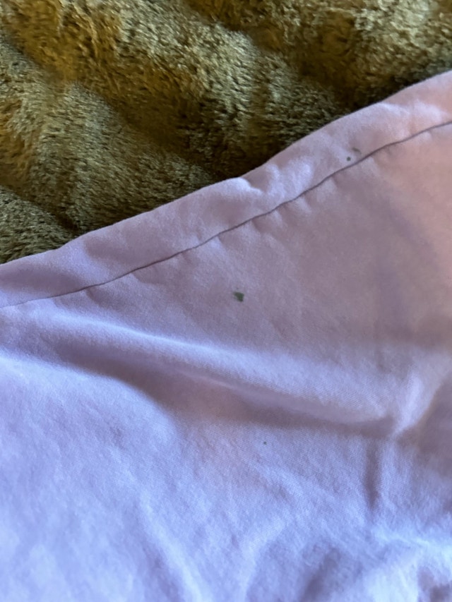 Aritzia TNA Cozy Fleece Sweatsuit (medium) - photo 4