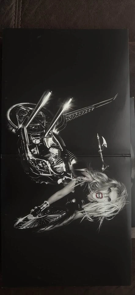Lady Gaga - Born This Way Vinyl - photo 2