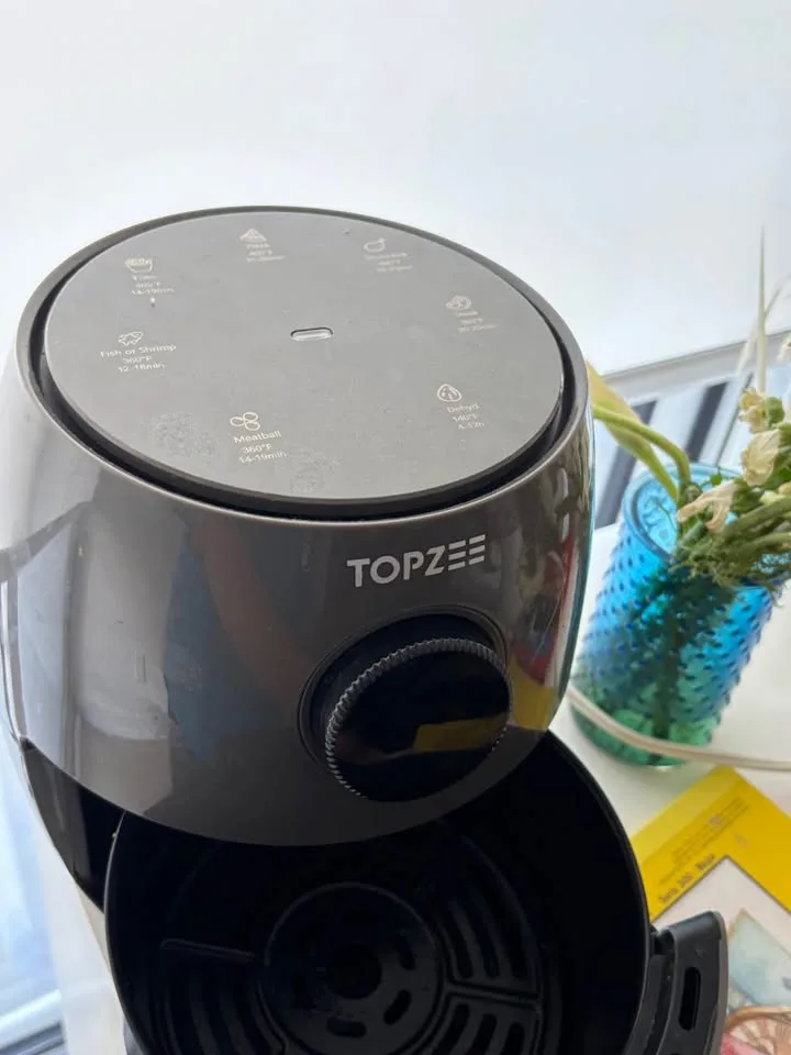 Mini Air Fryer image indicator(2)