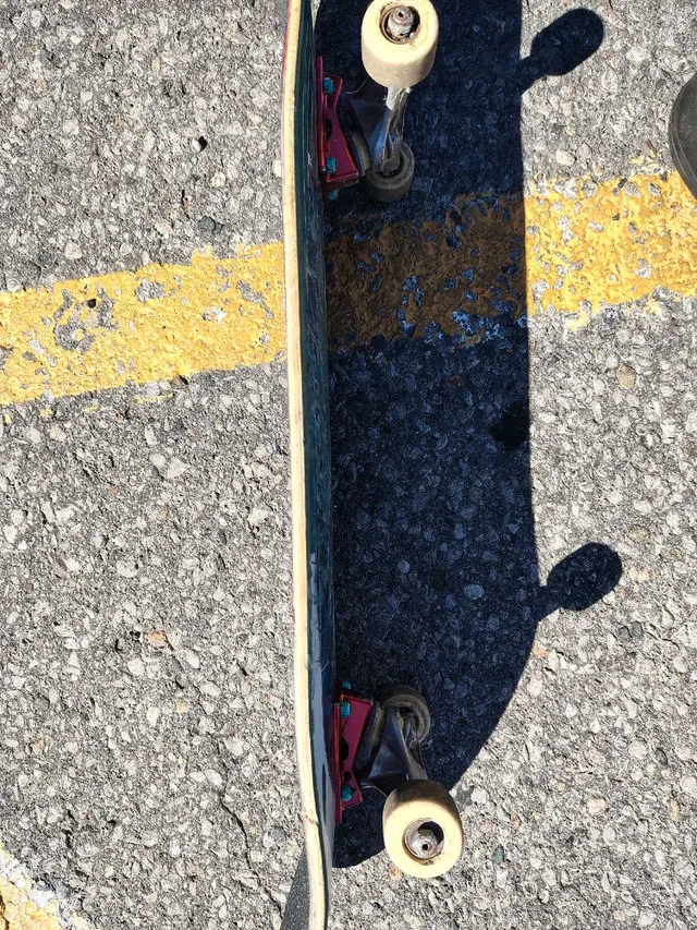skateboard image indicator(3)