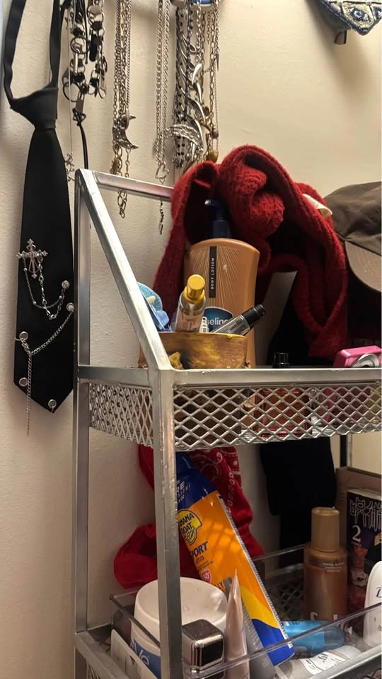Metal Shelf Organizer - photo 3