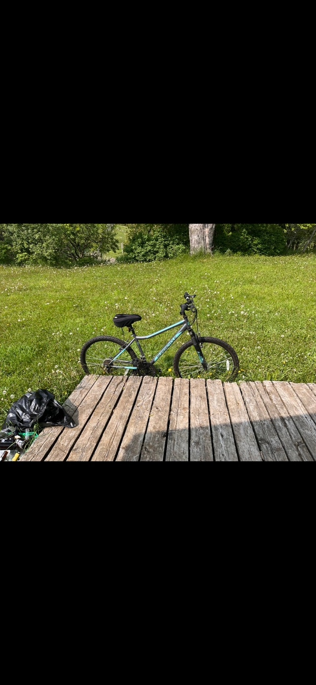 Supercycle Mountain Bike - Size M