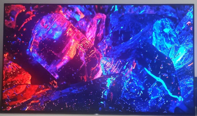 Sony Bravia 4K OLED HDR Android TV - XBR55A1E - photo 5