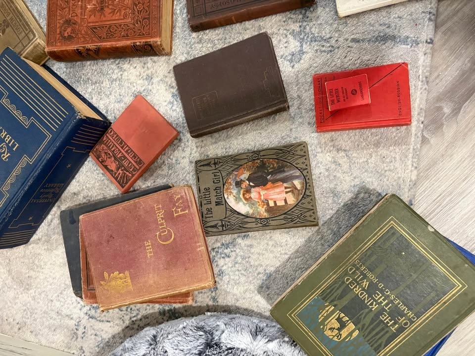 Antique and vintage books - photo 4