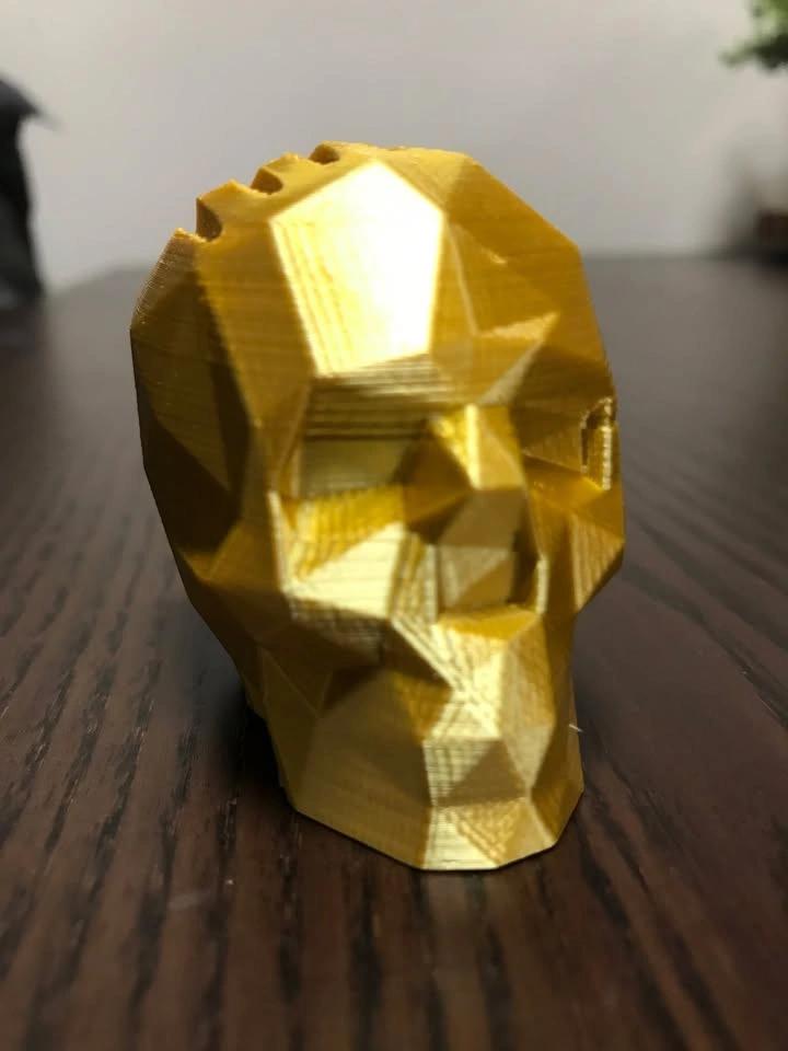 Skull Guitar Pick Holder (3D Printed) - photo 2