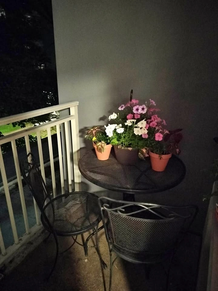 Vintage Black Metal Patio Bistro Set – Round Mesh Table + 2 Chai