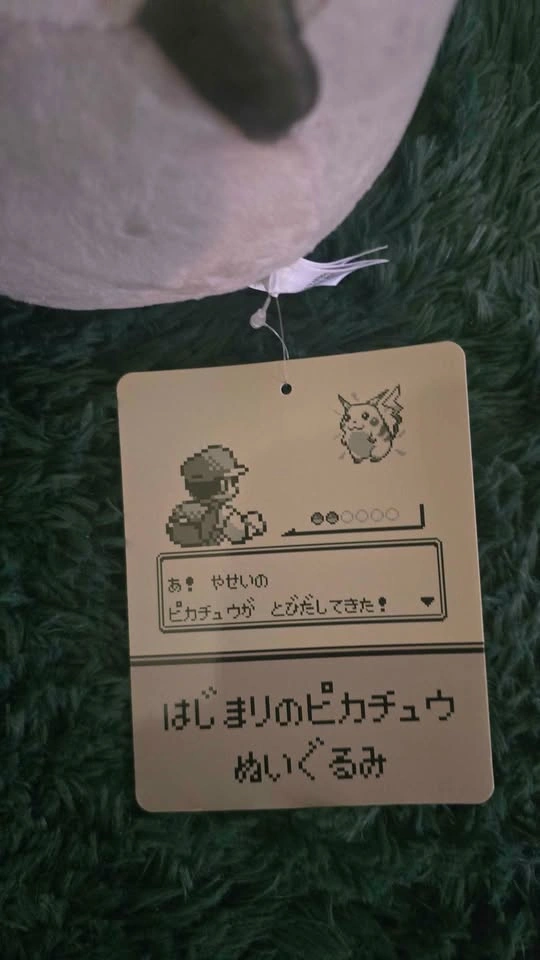 Pokemon Red & Green The Beginning Pikachu Plush 30th Anniversary - photo 2