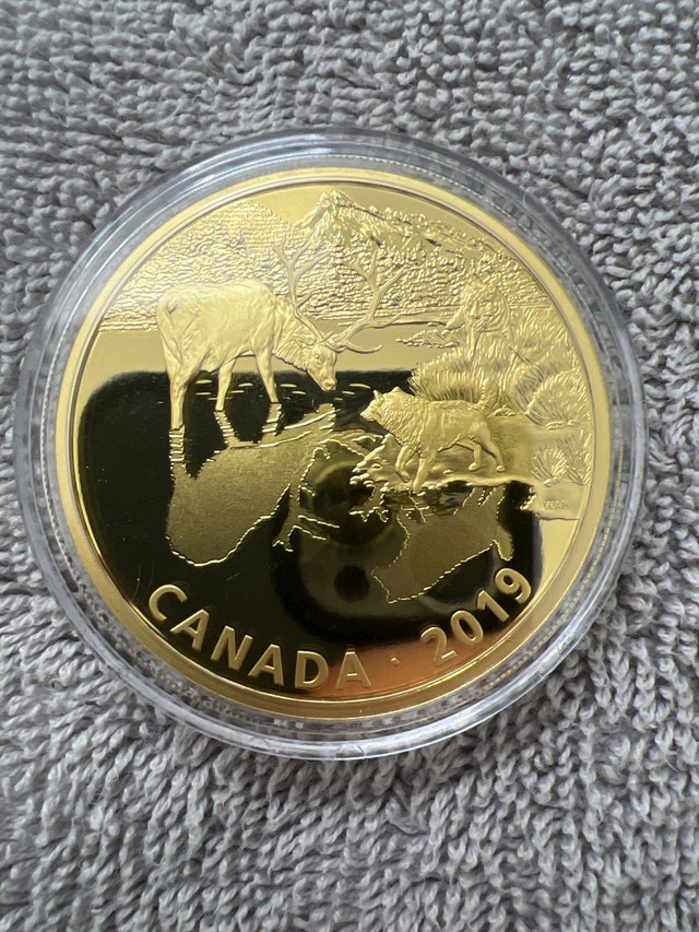 .9999 2oz Fine Silver Coin