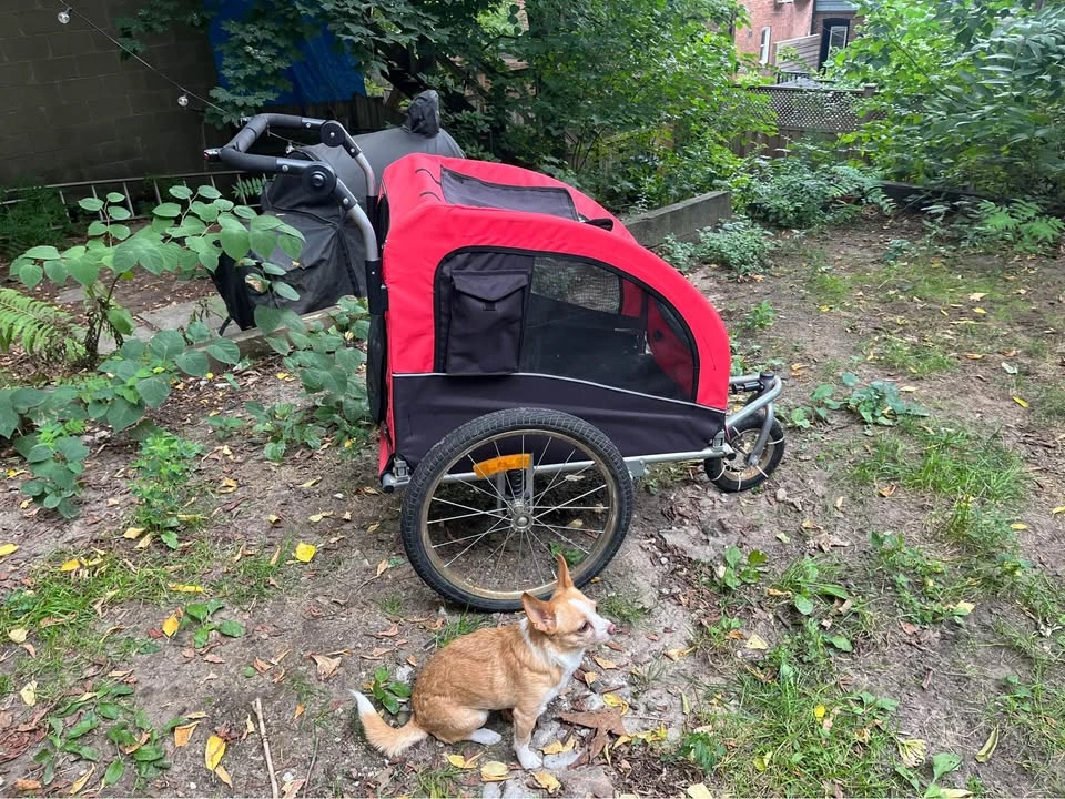 Bike Trailer and transport cart - photo 3