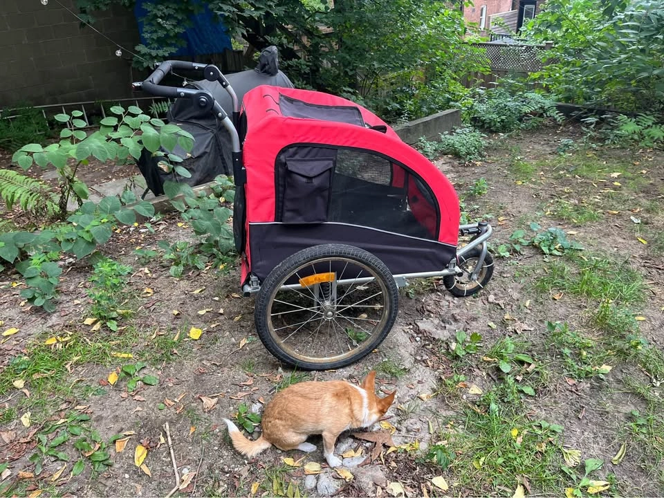 Bike Trailer and transport cart - photo 5