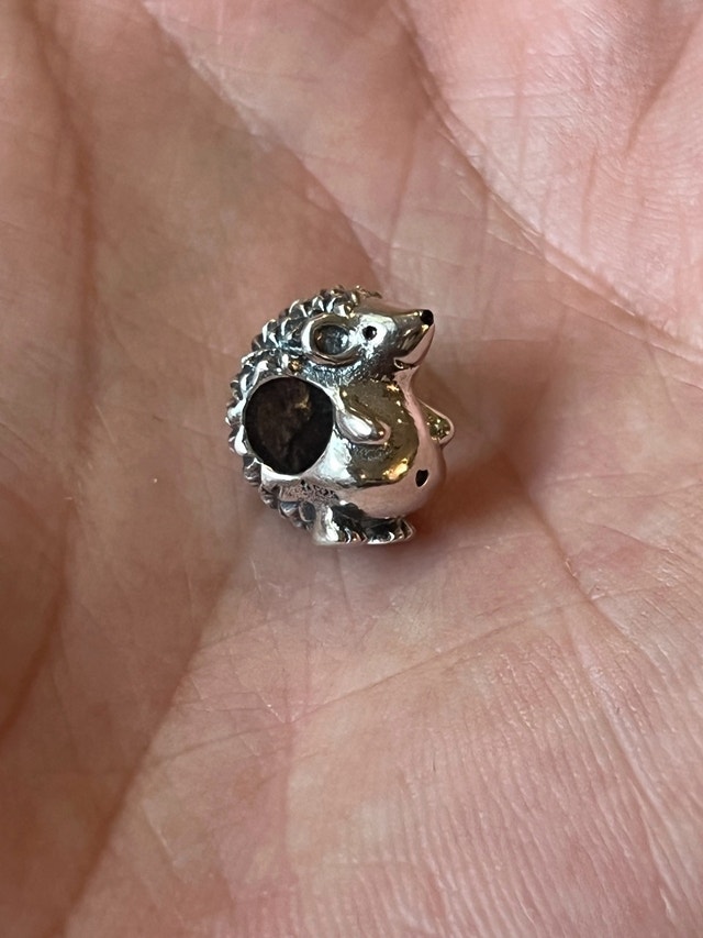 Pandora Charms - New