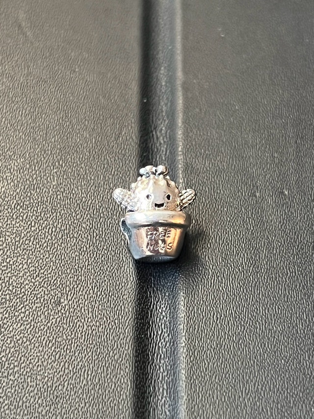 Pandora Charms - New - photo 4