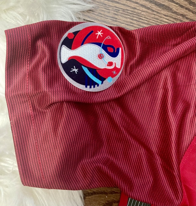 Portugal 2016 Euro Ronaldo final Soccer Jersey - photo 5