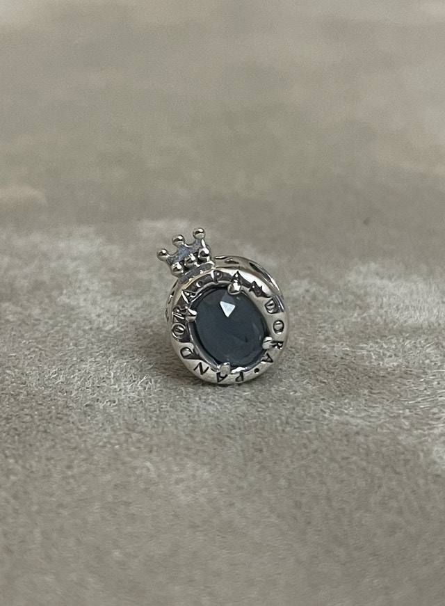 Pandora Charms New