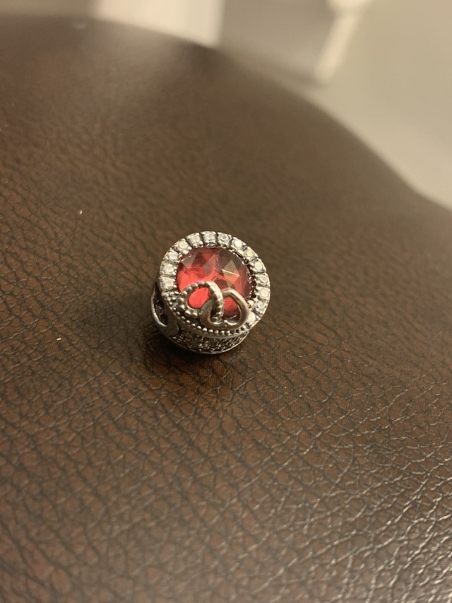 Pandora Charms New - photo 5