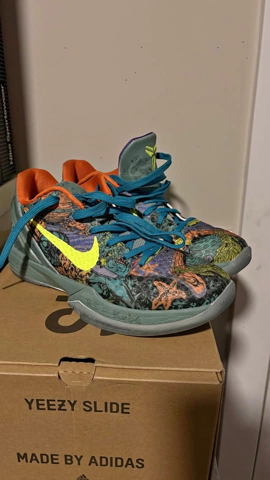 Kobe 6 Prelude Size 10