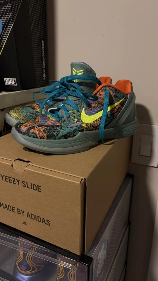 Kobe 6 Prelude Size 10 - photo 3