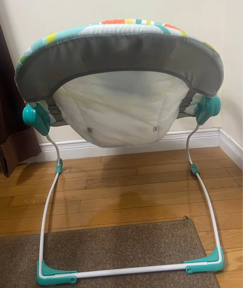 Rainforest Vibes Baby Bouncer (0-6mos) - photo 2