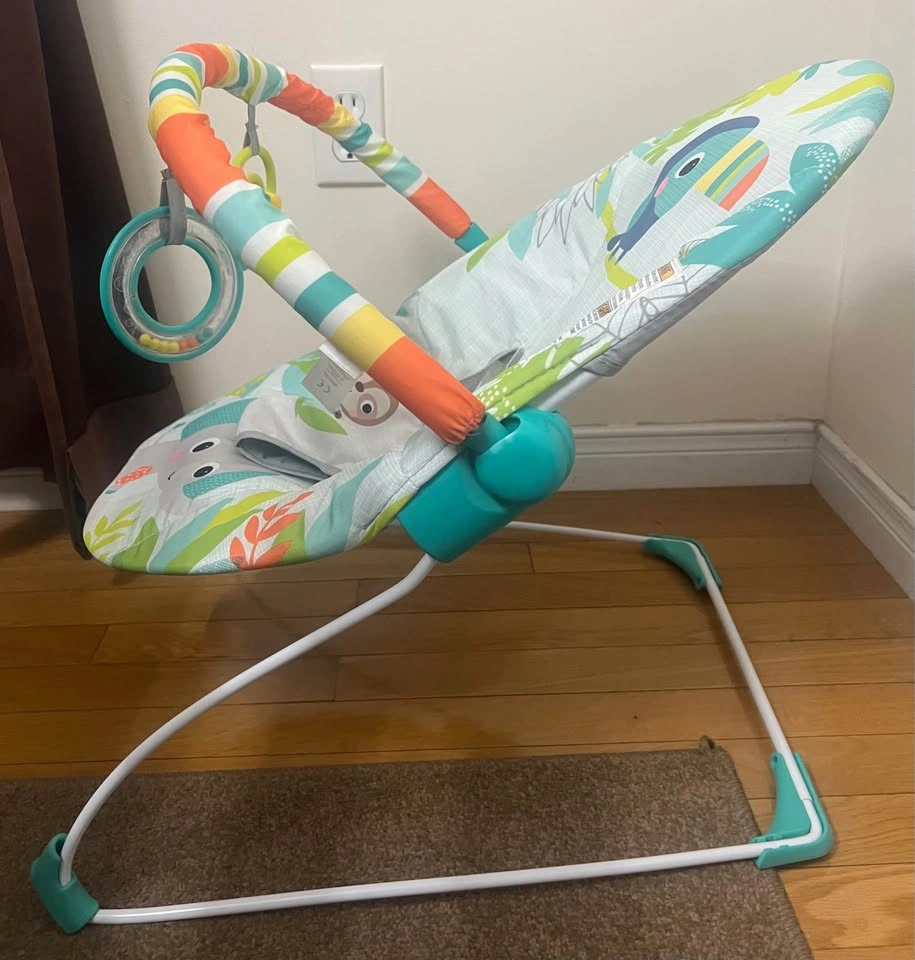 Rainforest Vibes Baby Bouncer (0-6mos) - photo 3
