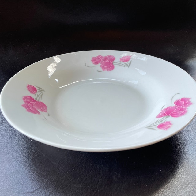 10 Shallow Porcelain Bowls - 9" Diameter