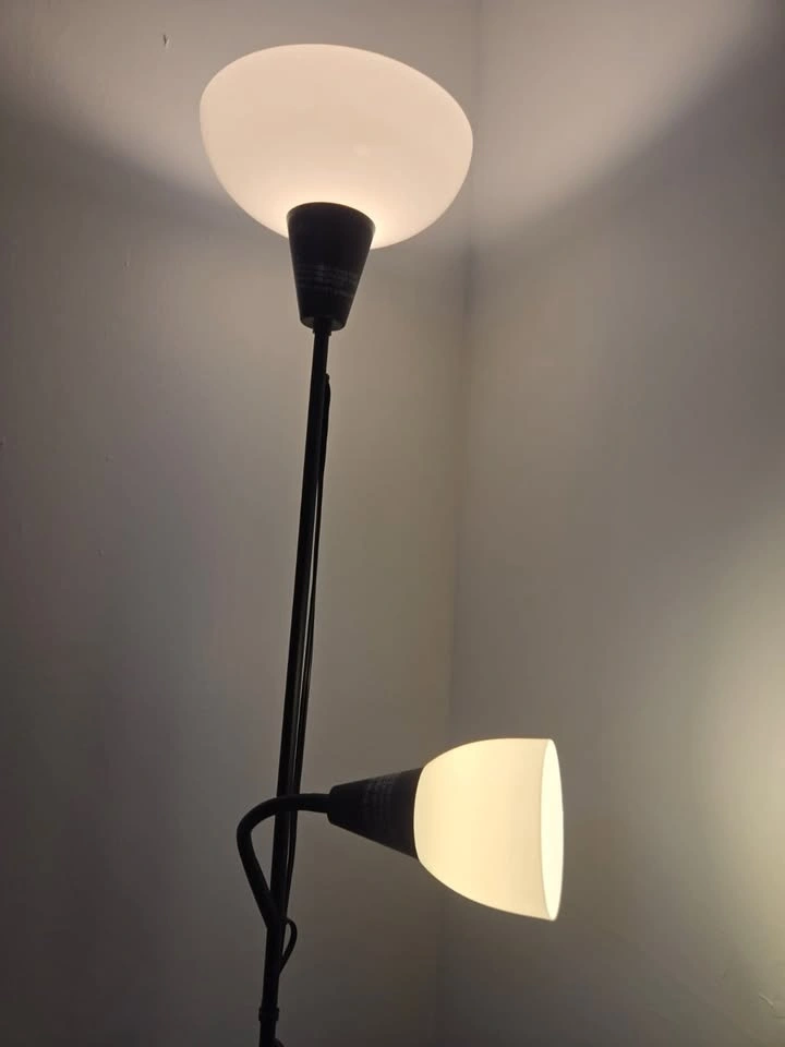 Tall Adjustable Lamp with Extra Bulbs - photo 2