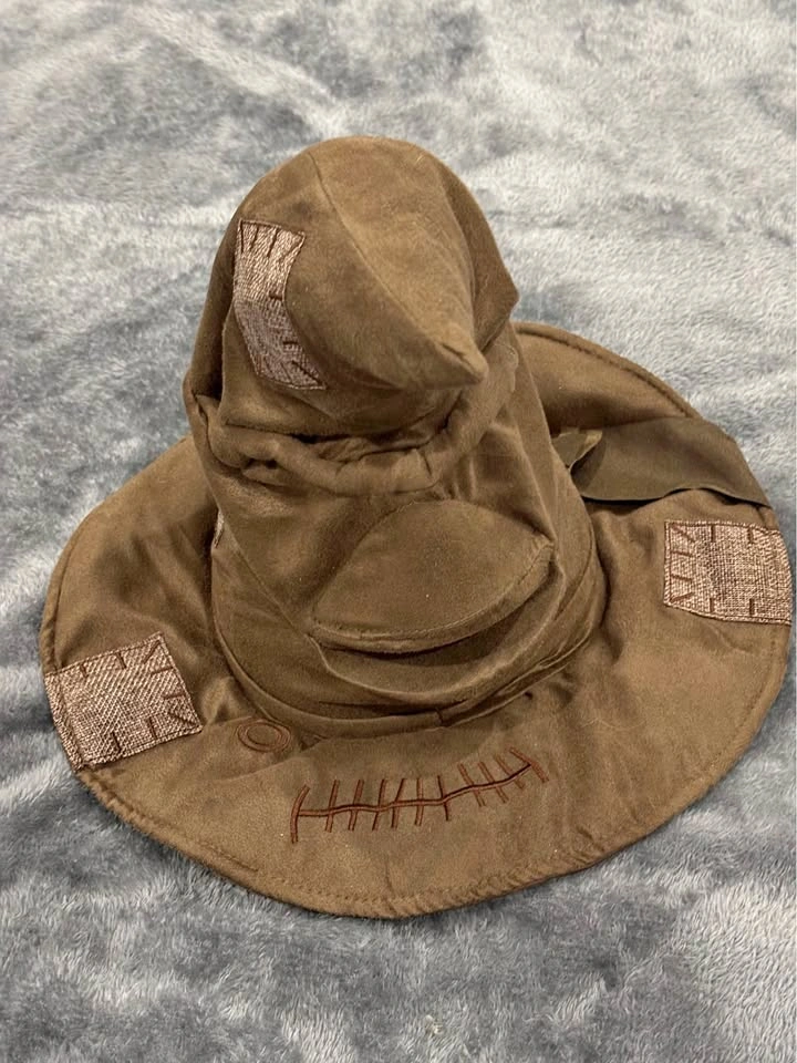 Harry Potter Sorting Hat