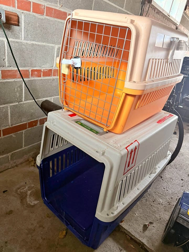 Dog Travel Crates | Medium + XXL | Great Condition