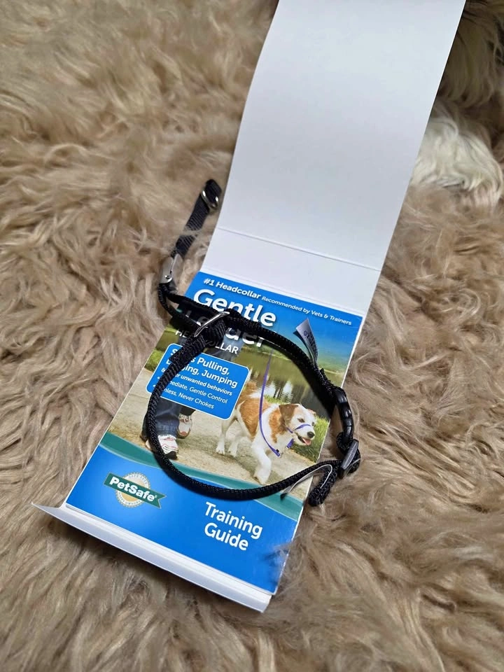 PetSafe Gentle Leader Headcollar with Training Guide - Petite