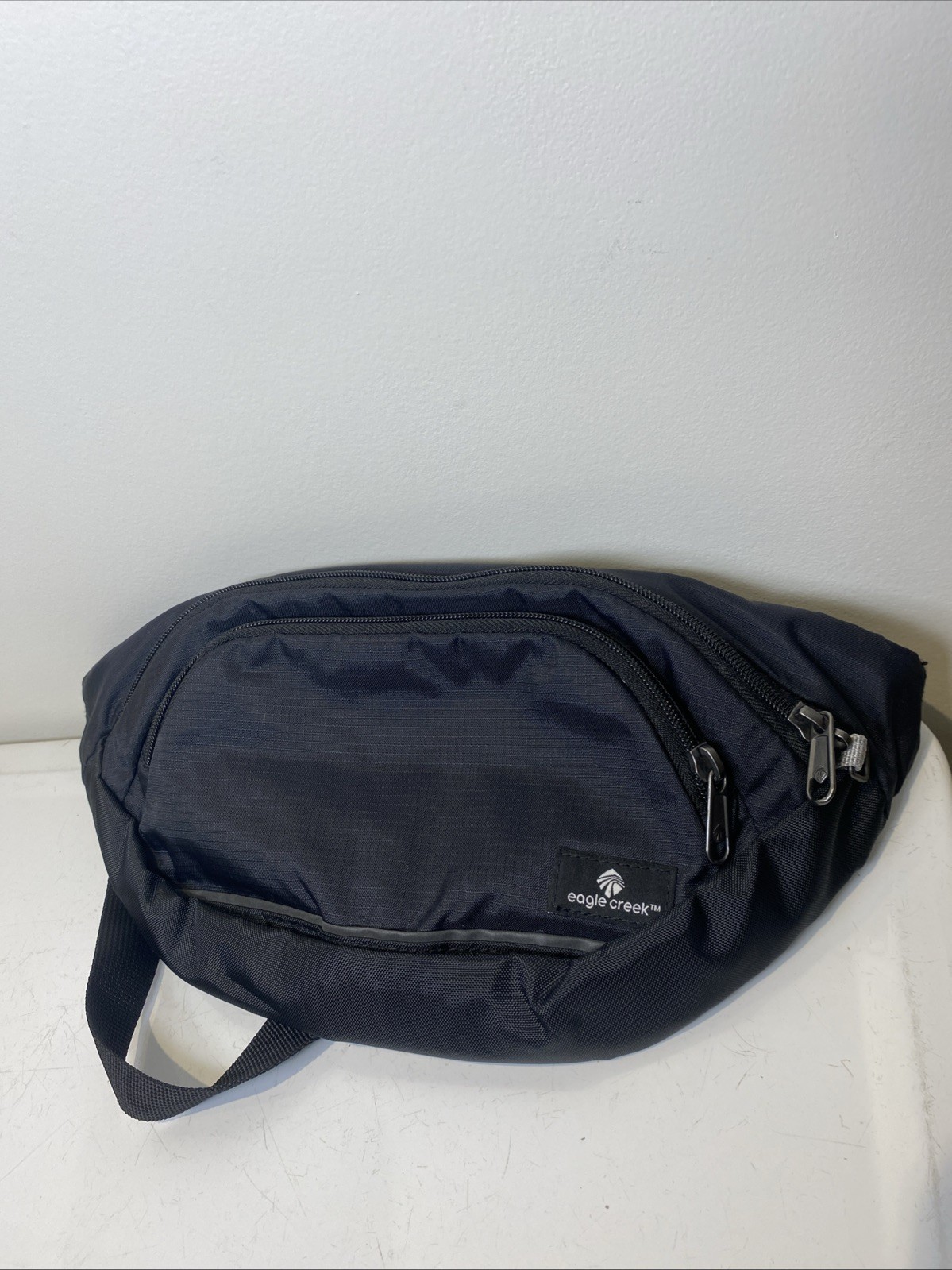 Eagle Creek Fanny Waist Pack Black Nylon w/ Zipper Dividers RFID