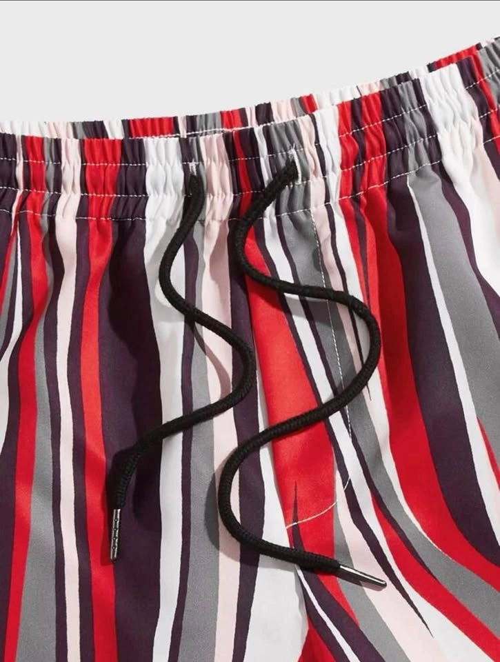Manfinity Men Striped Drawstring Waist Shorts - photo 3