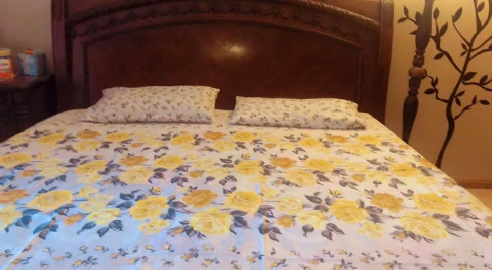 Queen Bed Sheet Set with 2 Pillow Cases - 100% Cotton - photo 4