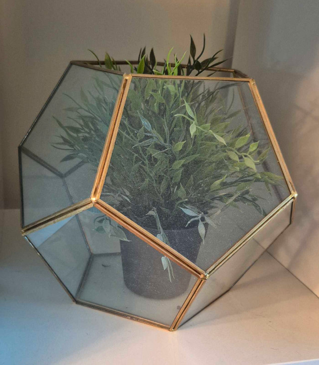 Terrarium - photo 2
